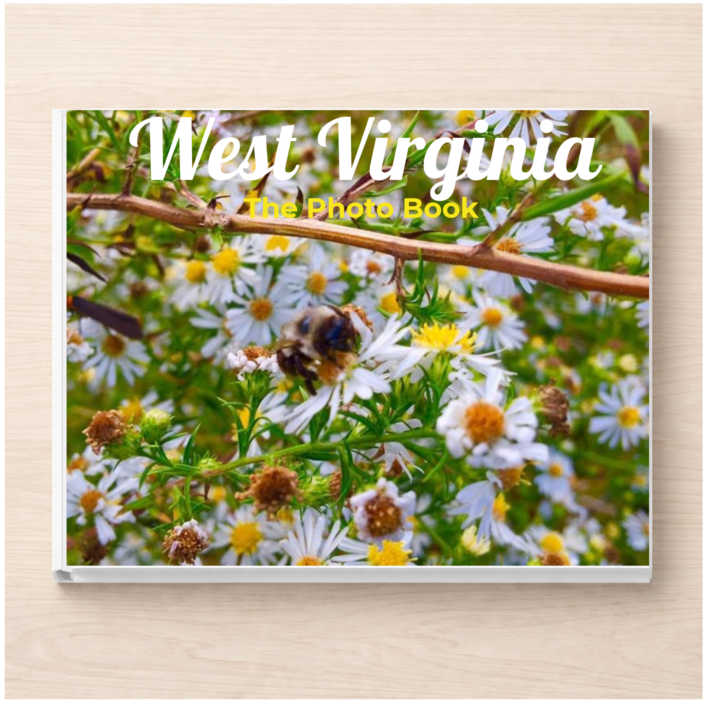West Virginia: The Photo Book