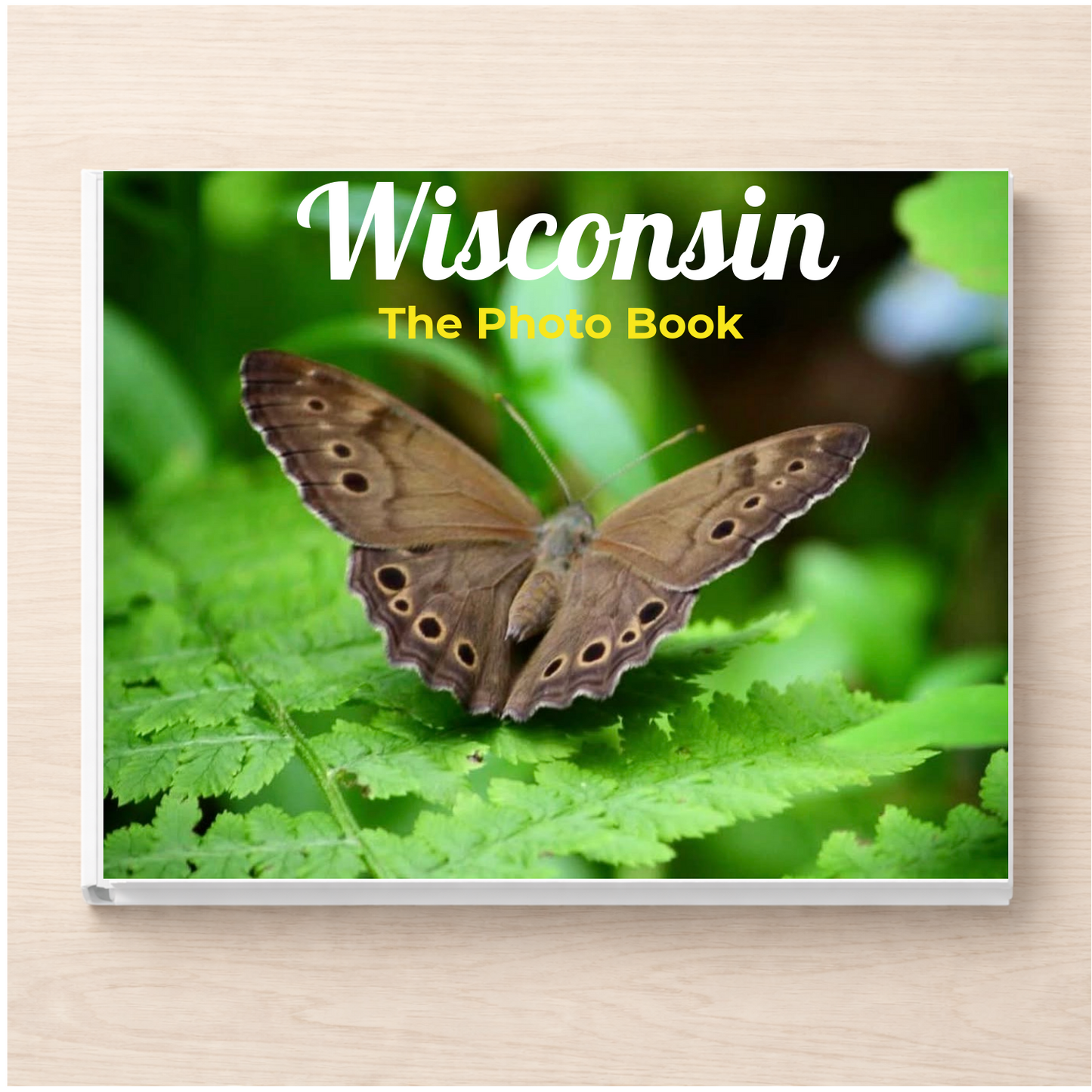 Wisconsin: The Photo Book