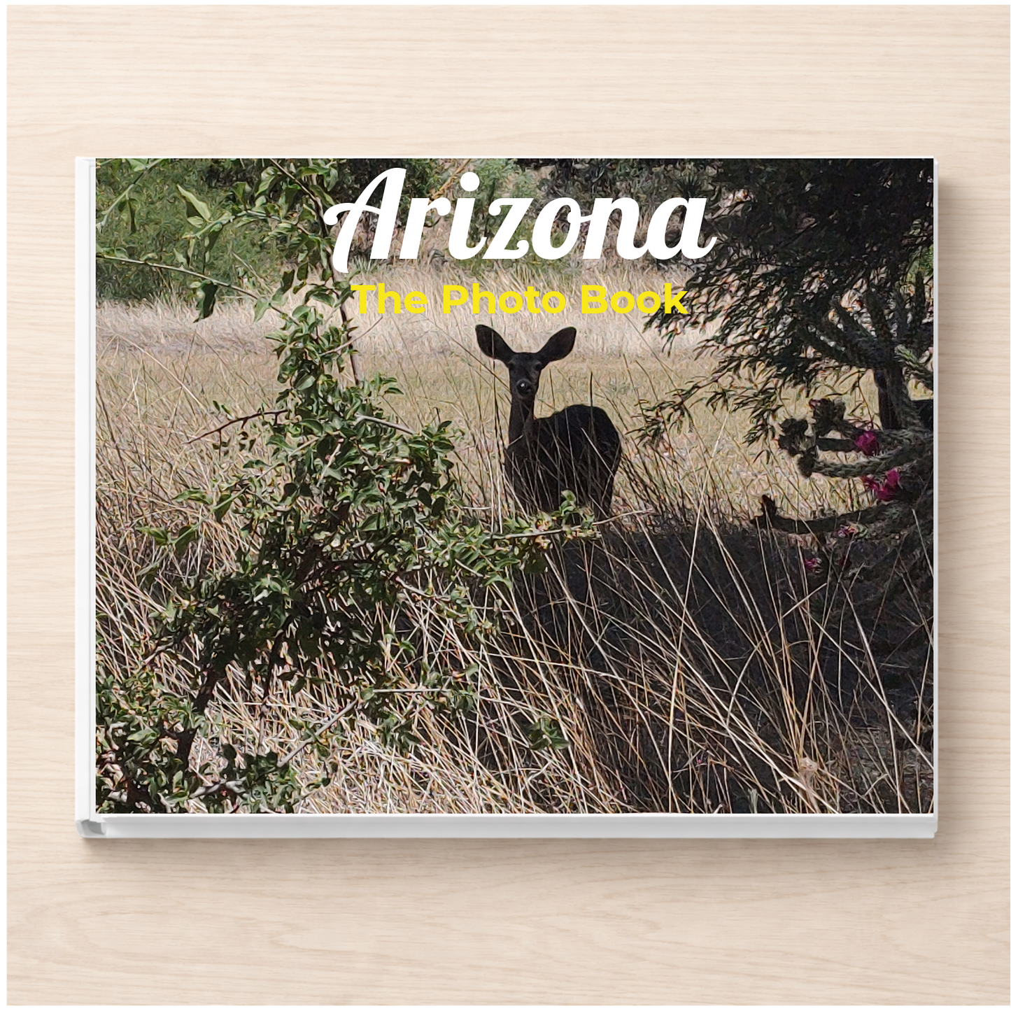Arizona: The Photo Book