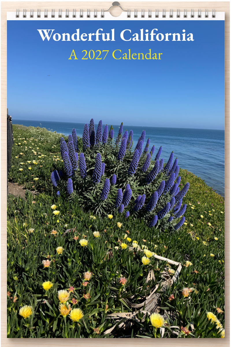Wonderful California: A 2027 Calendar