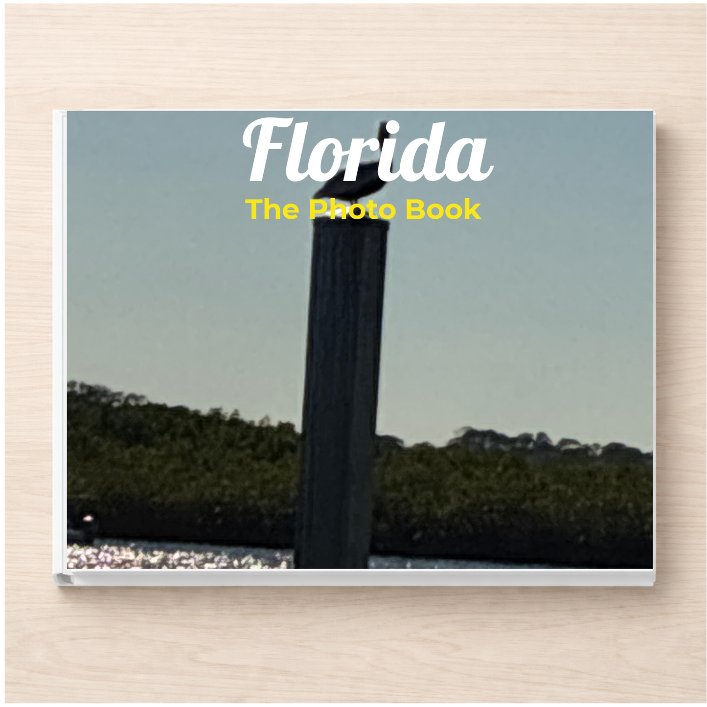 Florida: The Photo Book