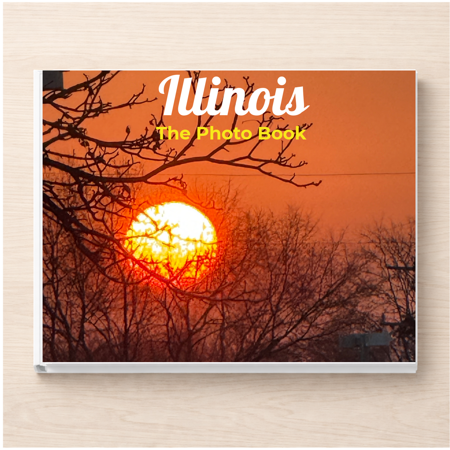 Illinois: The Photo Book