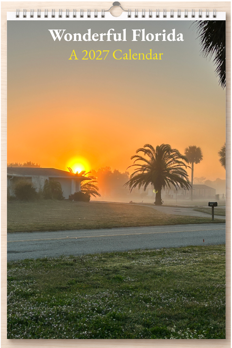 Wonderful Florida: A 2027 Calendar
