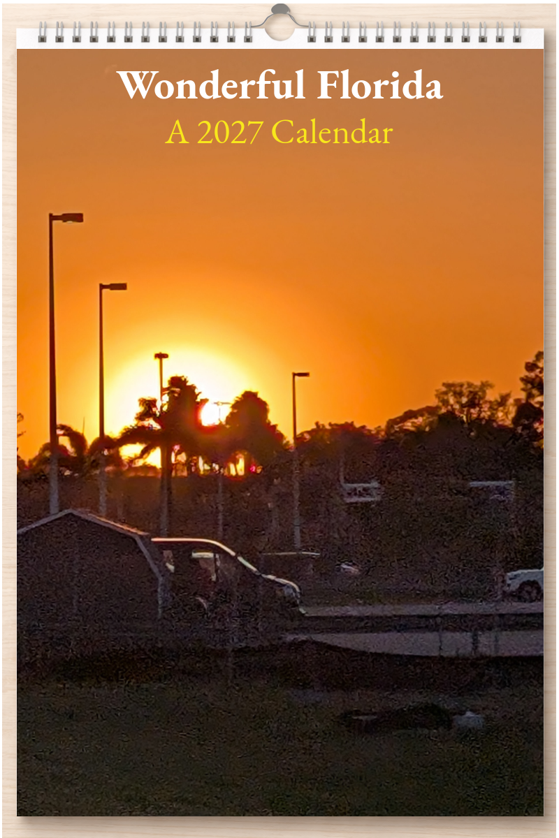 Wonderful Florida: A 2027 Calendar