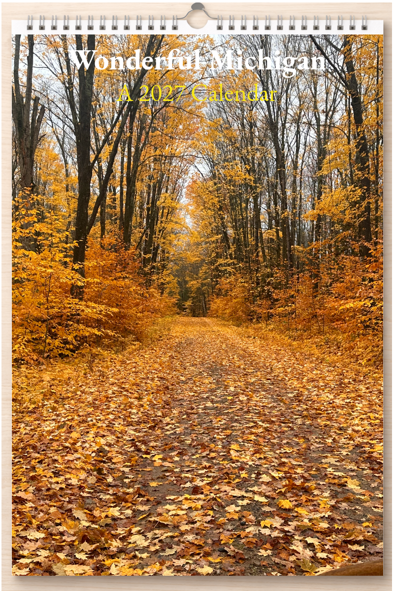 Wonderful Michigan: A 2027 Calendar