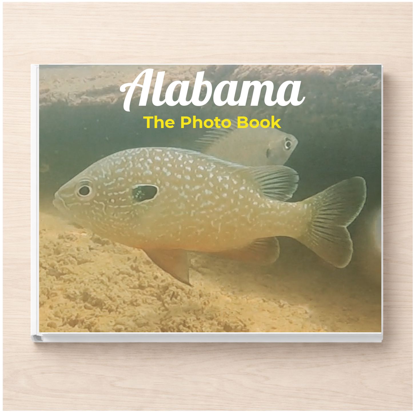 Alabama: The Photo Book