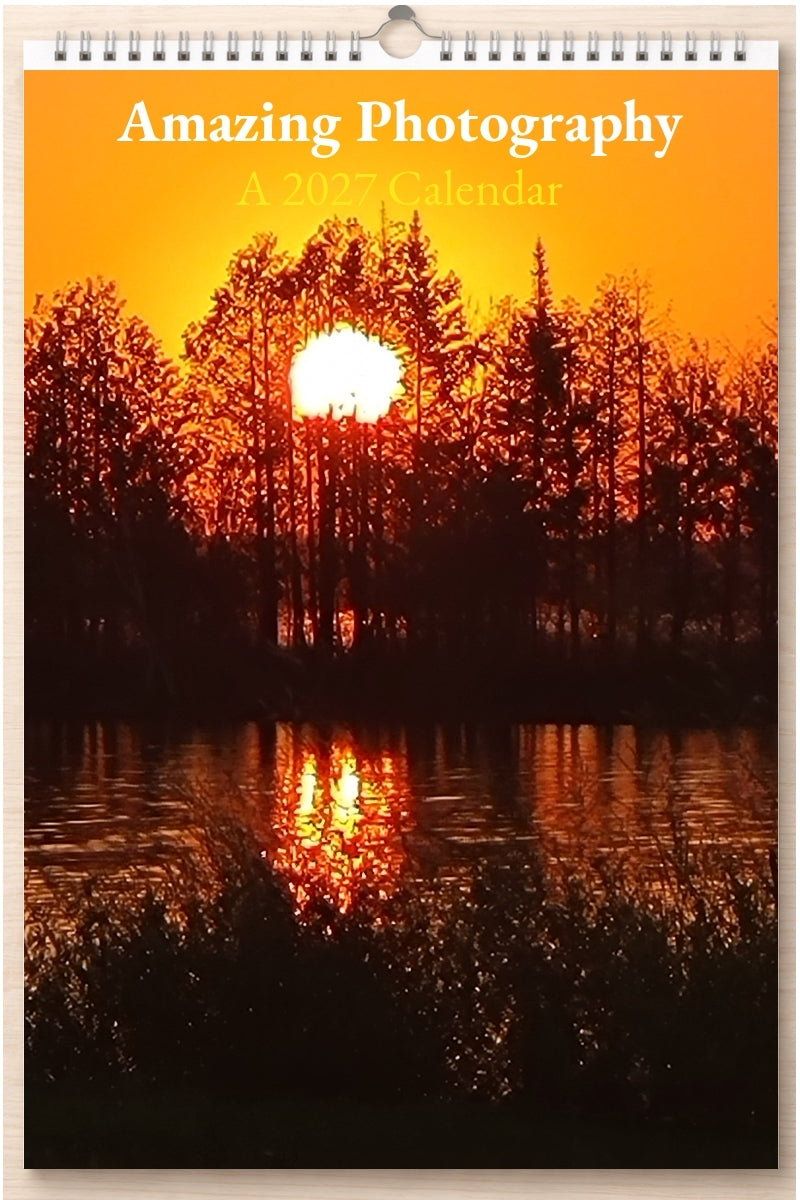 Amazing Photography: A 2027 Calendar