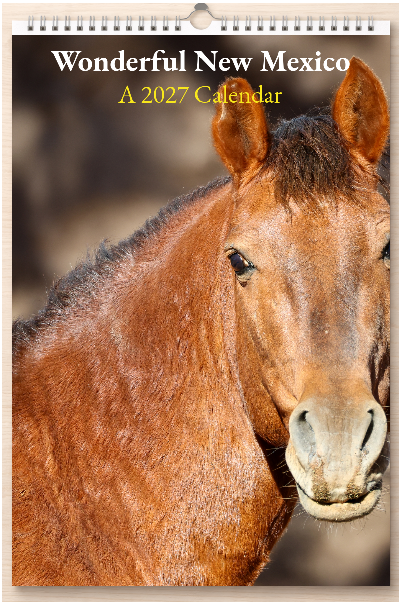 Wonderful New Mexico: A 2027 Calendar
