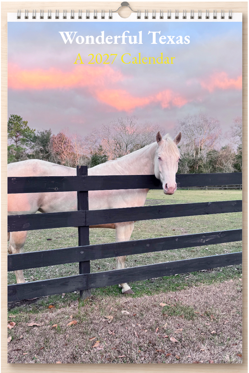 Wonderful Texas: A 2027 Calendar