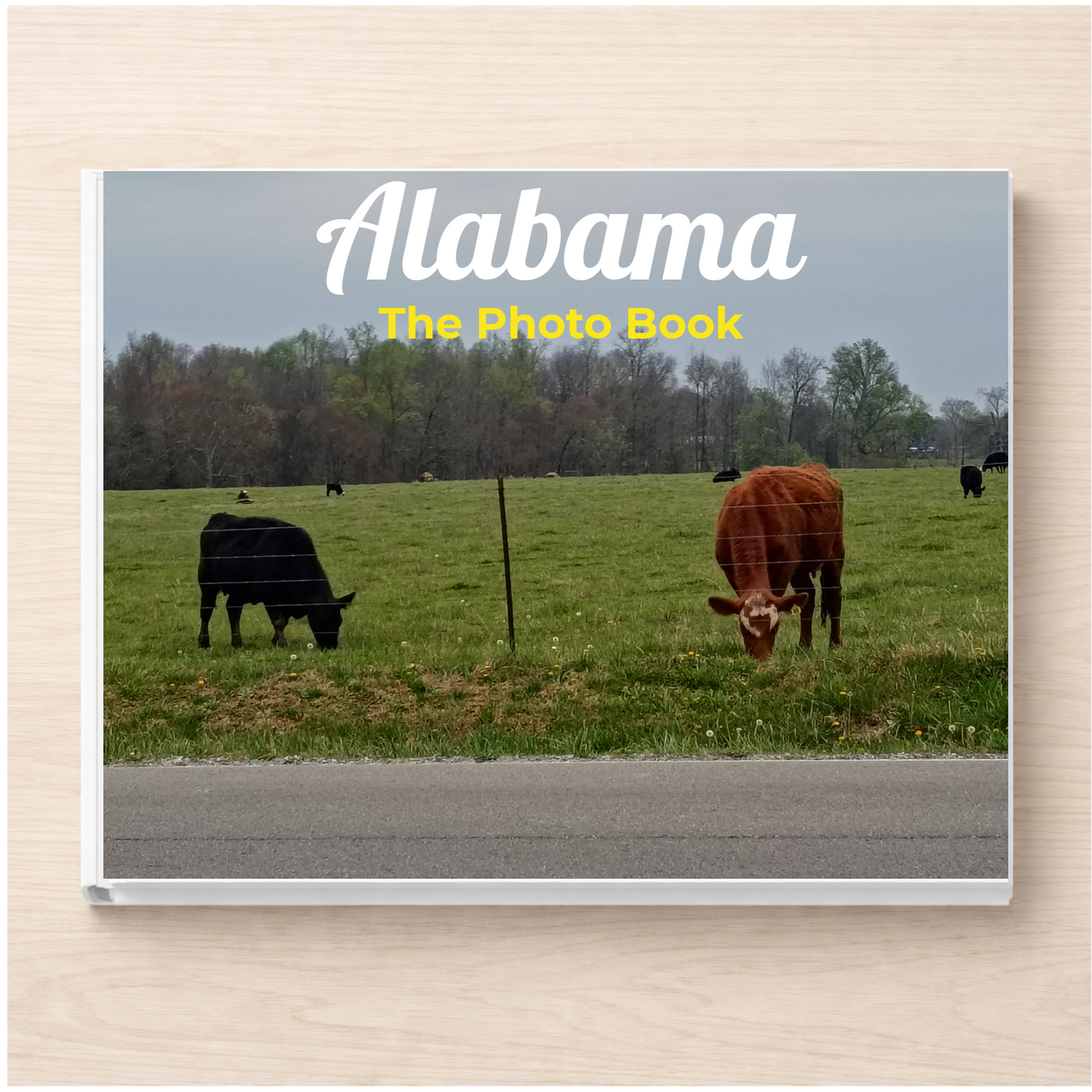 Alabama: The Photo Book