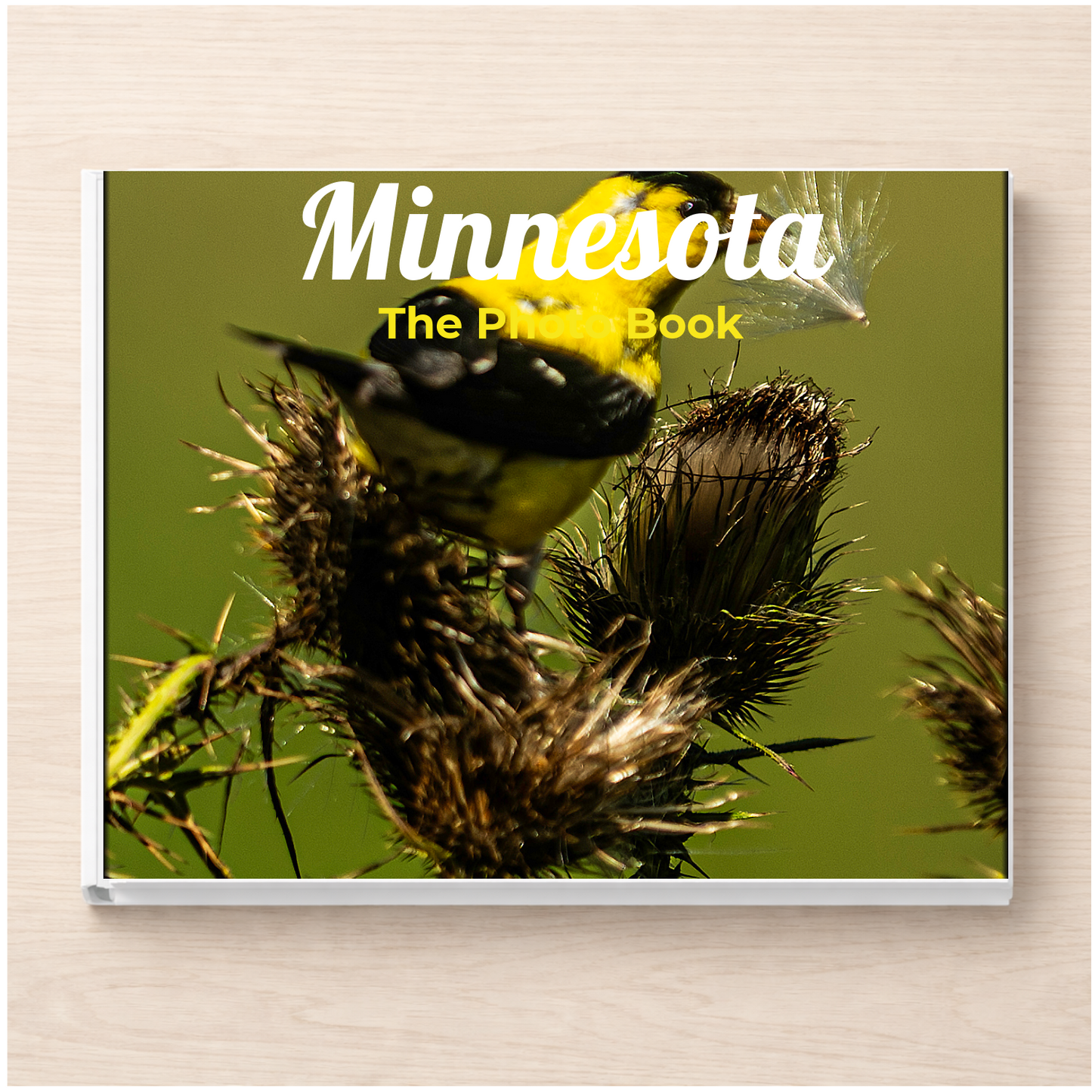 Minnesota: The Photo Book