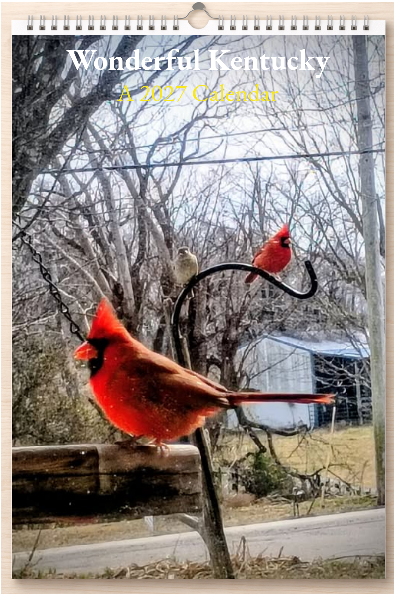 Wonderful Kentucky: A 2027 Calendar