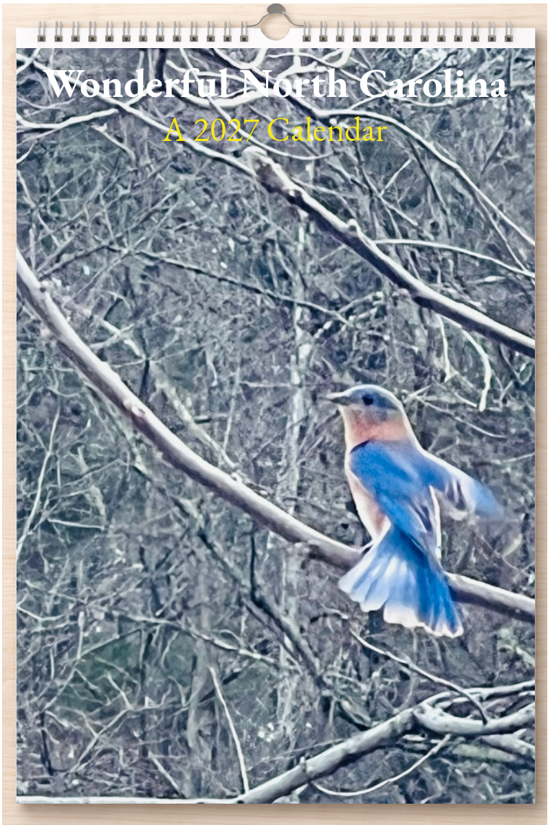 Wonderful North Carolina: A 2027 Calendar