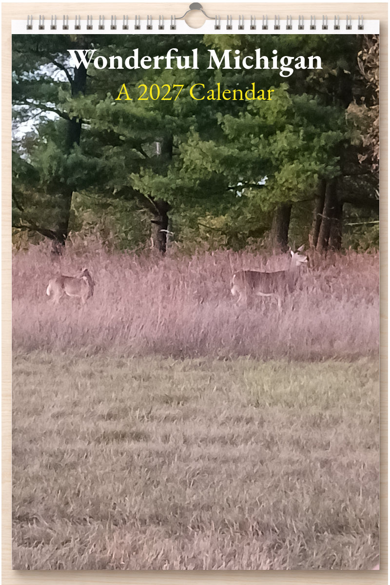 Wonderful Michigan: A 2027 Calendar