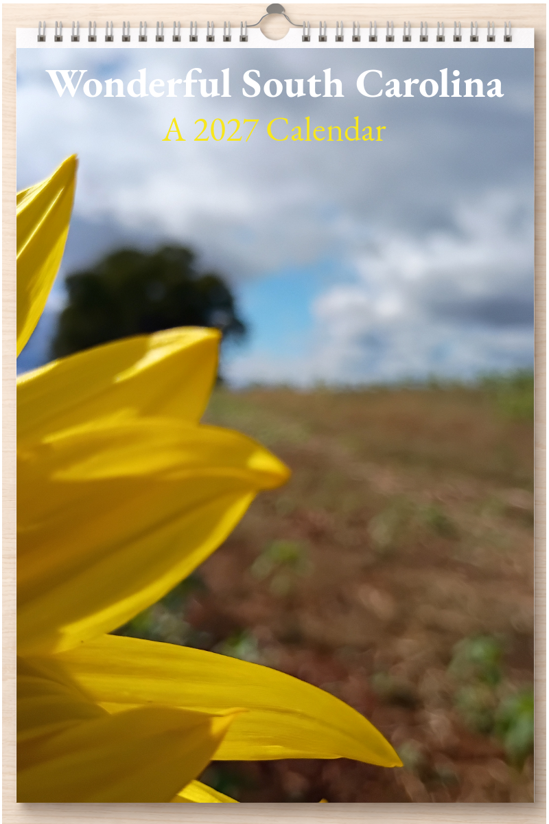 Wonderful South Carolina: A 2027 Calendar