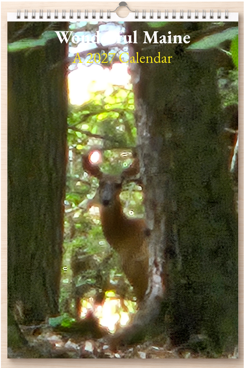 Wonderful Maine: A 2027 Calendar