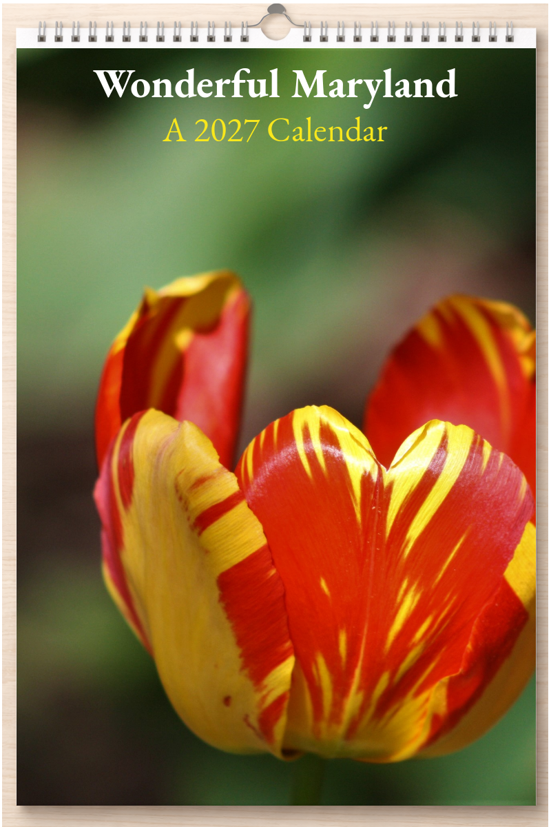 Wonderful Maryland: A 2027 Calendar