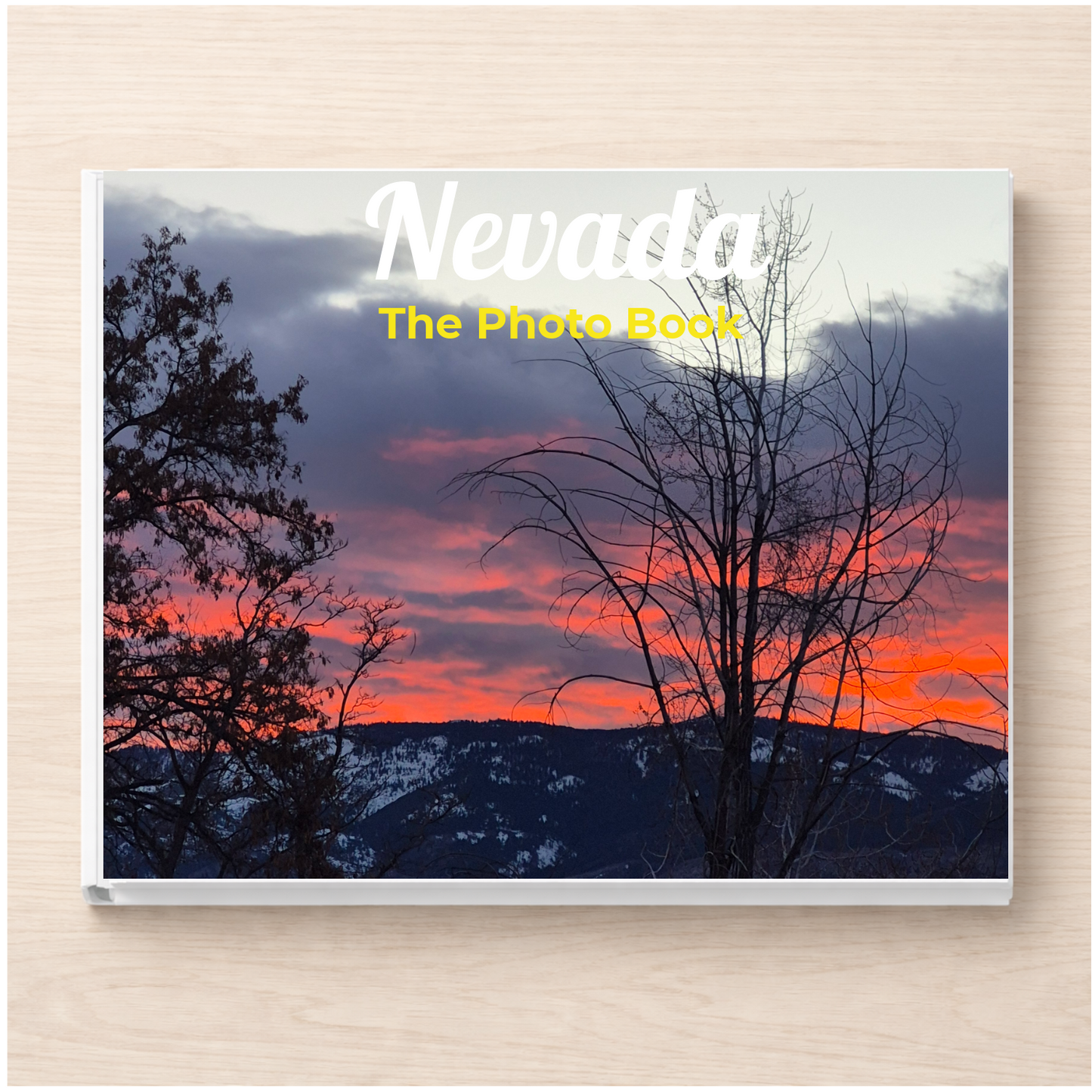 Nevada: The Photo Book