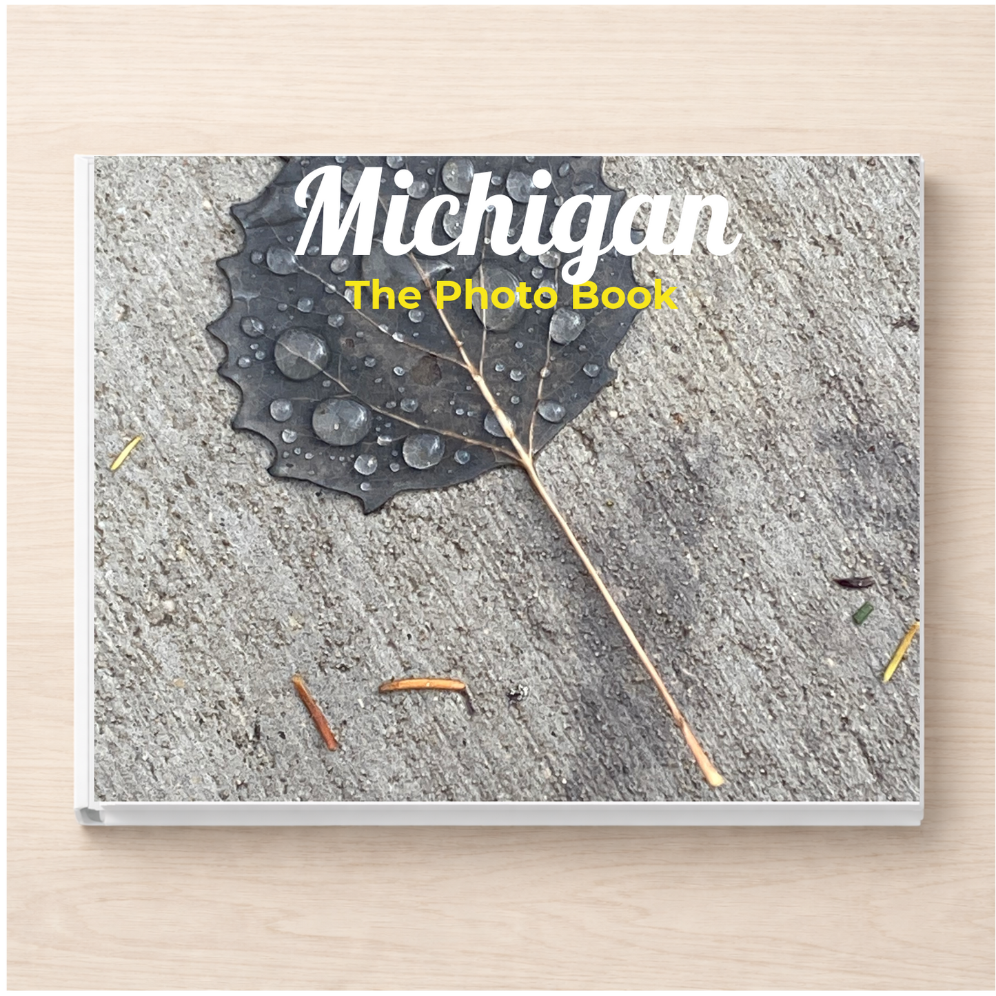 Michigan: The Photo Book