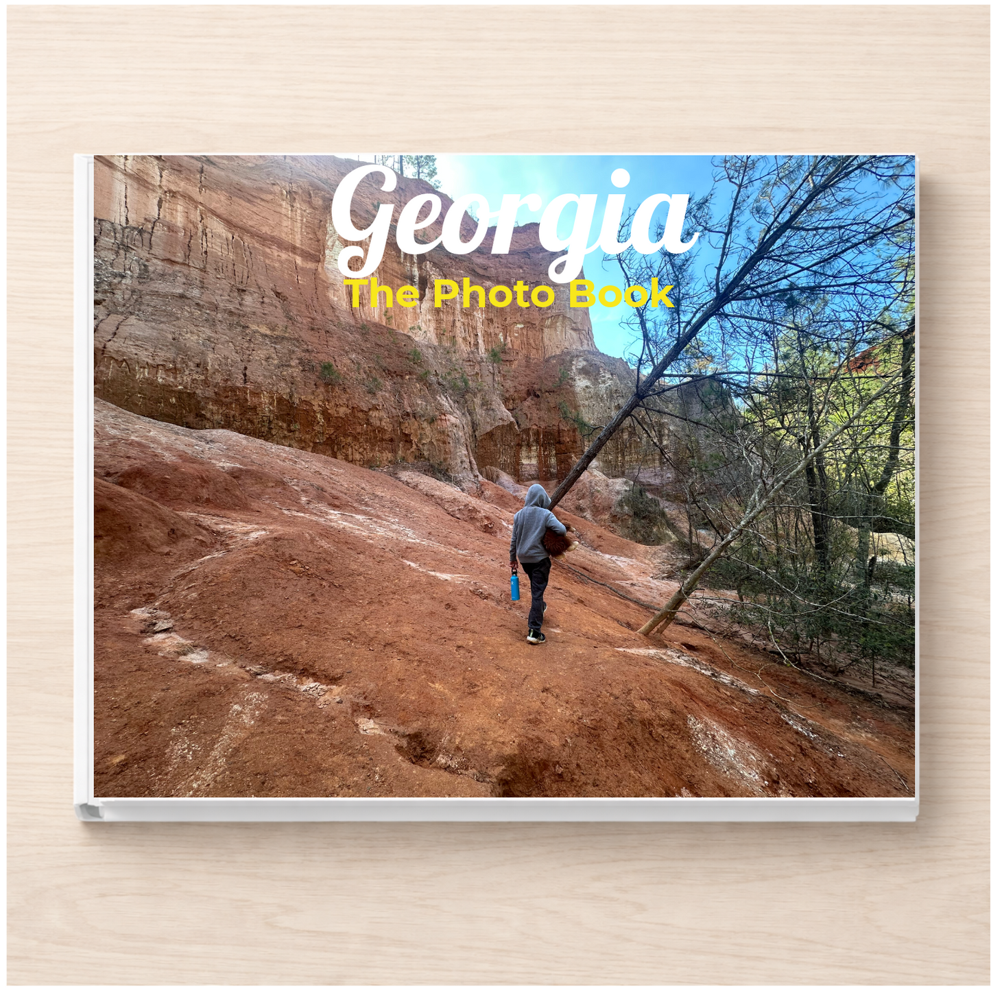 Georgia: The Photo Book