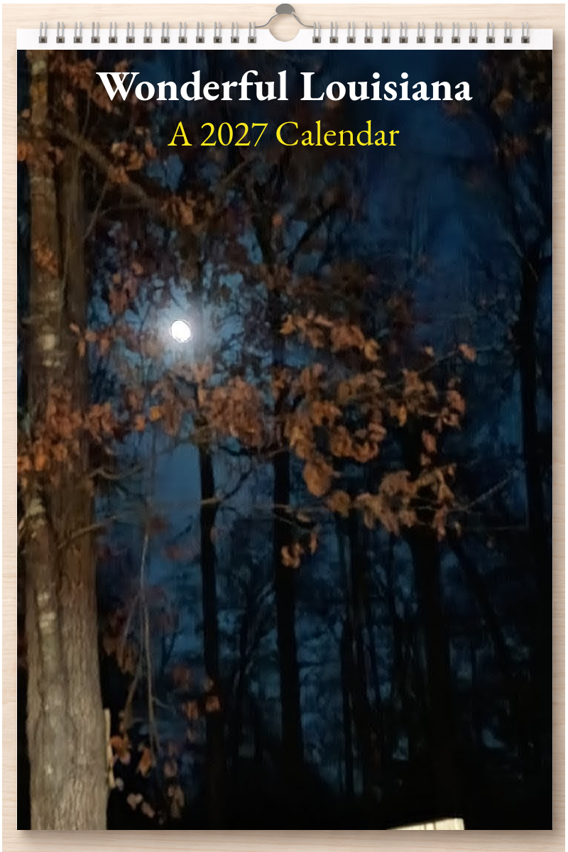 Wonderful Louisiana: A 2027 Calendar