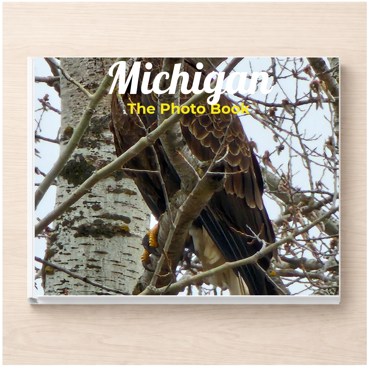 Michigan: The Photo Book
