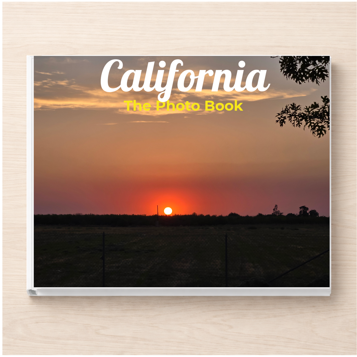 California: The Photo Book