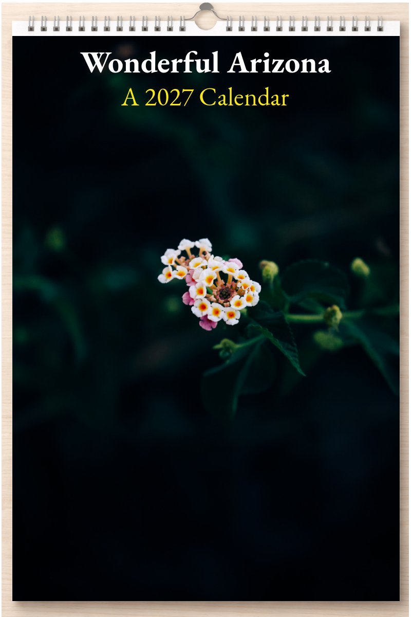 Wonderful Arizona: A 2027 Calendar