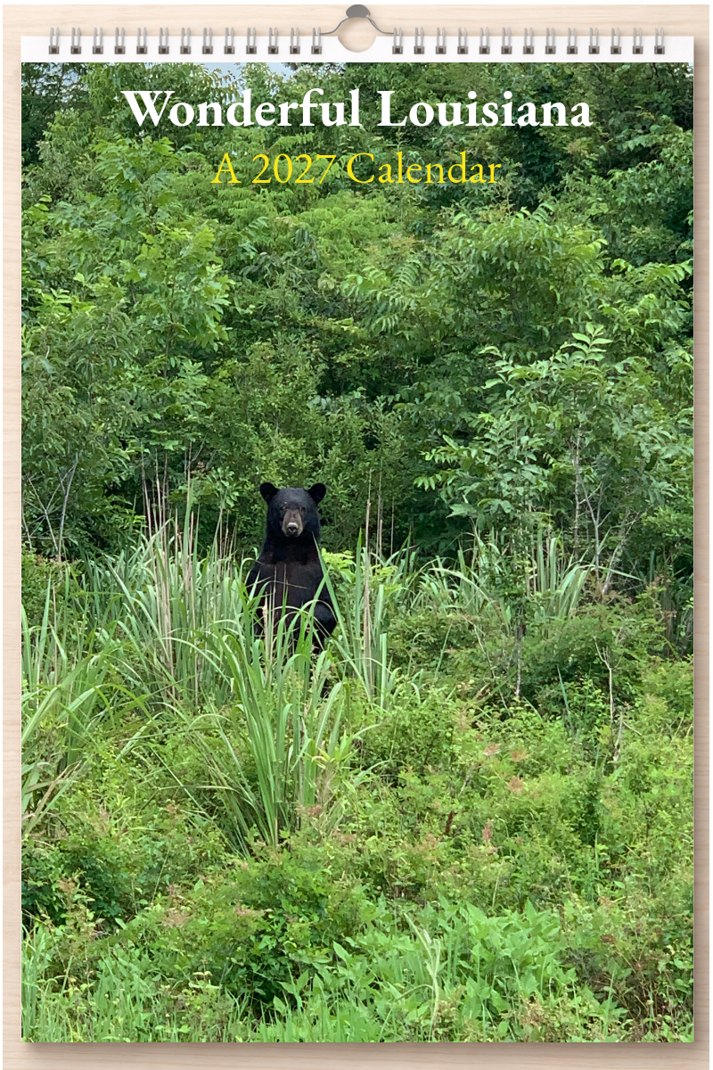 Wonderful Louisiana: A 2027 Calendar