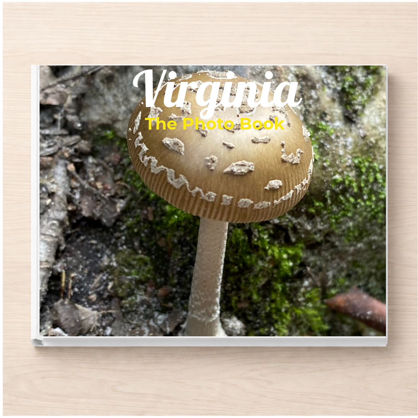 Virginia: The Photo Book