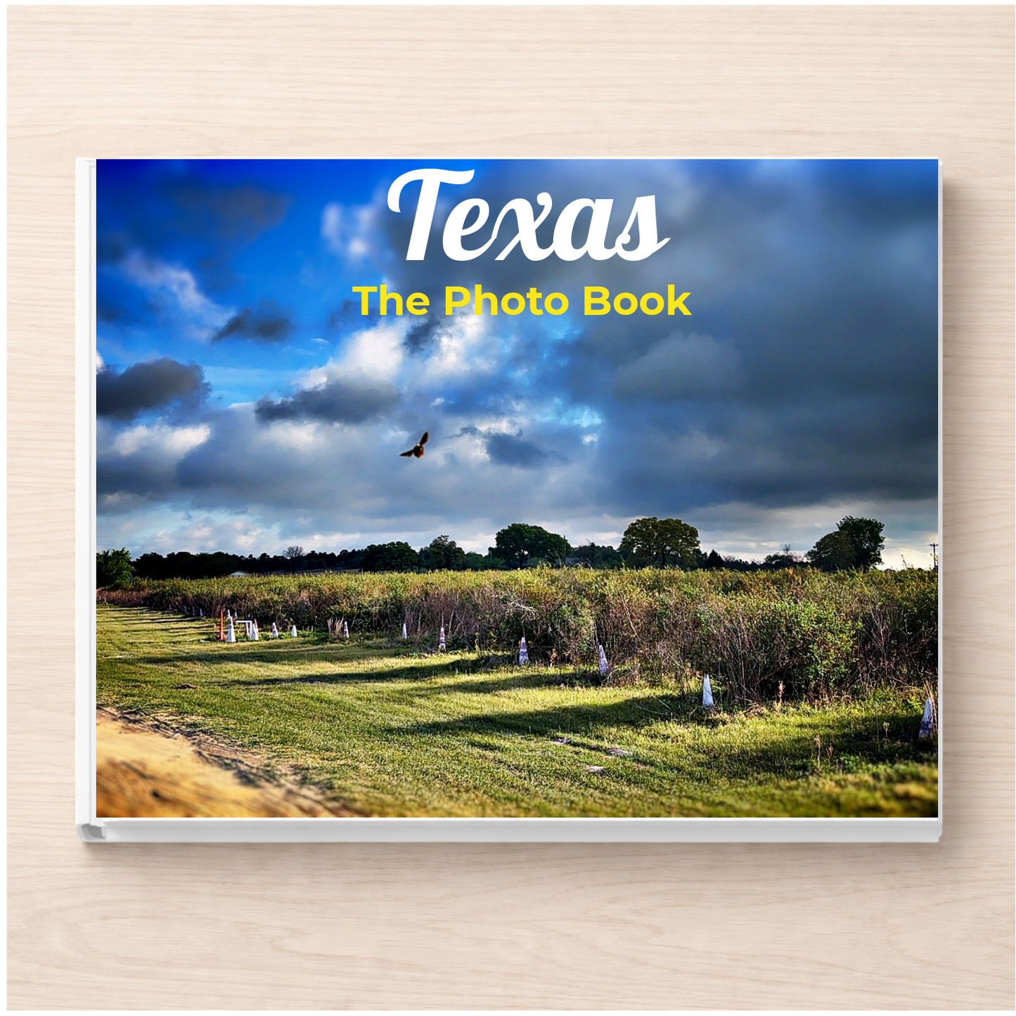 Texas: The Photo Book