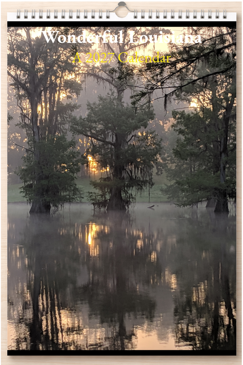 Wonderful Louisiana: A 2027 Calendar