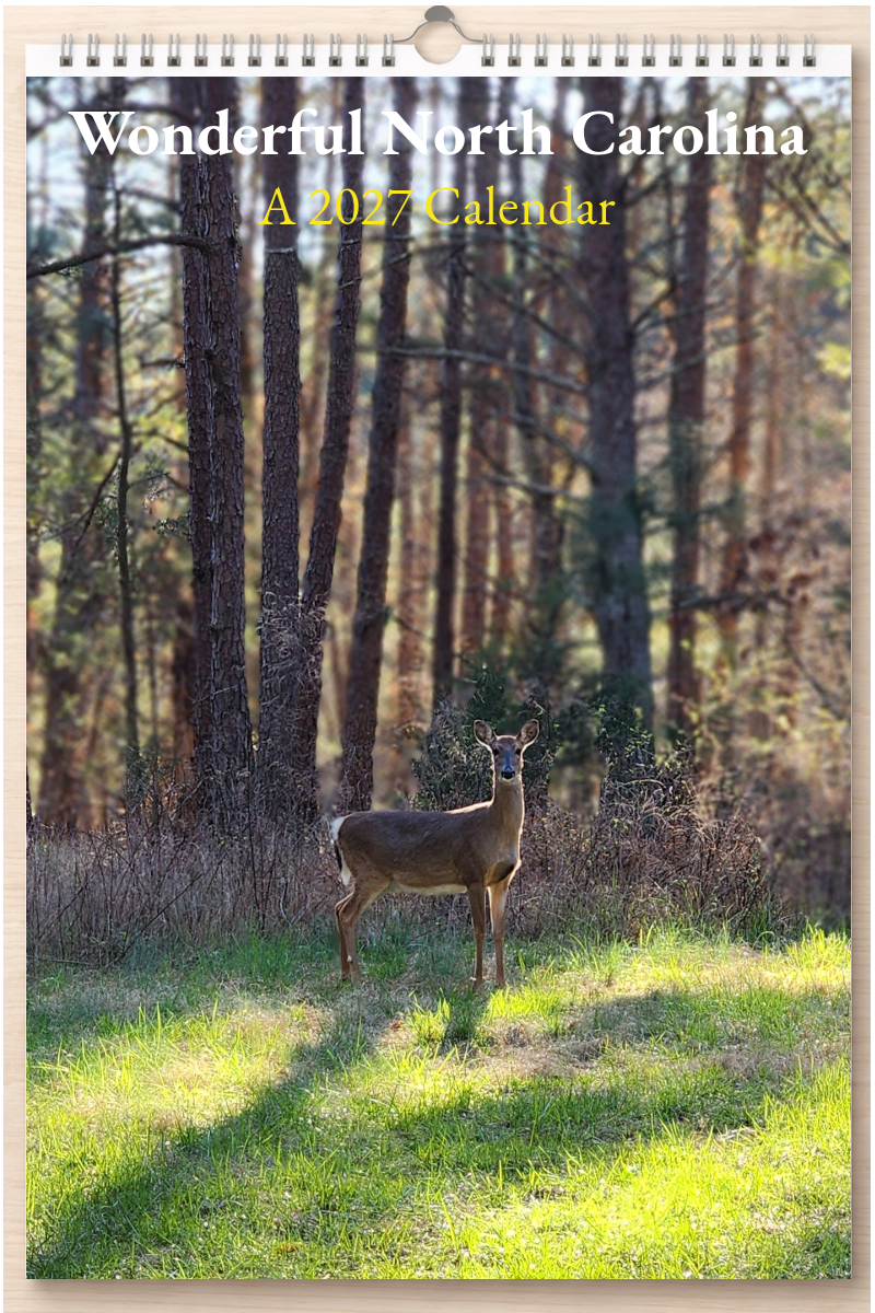 Wonderful North Carolina: A 2027 Calendar