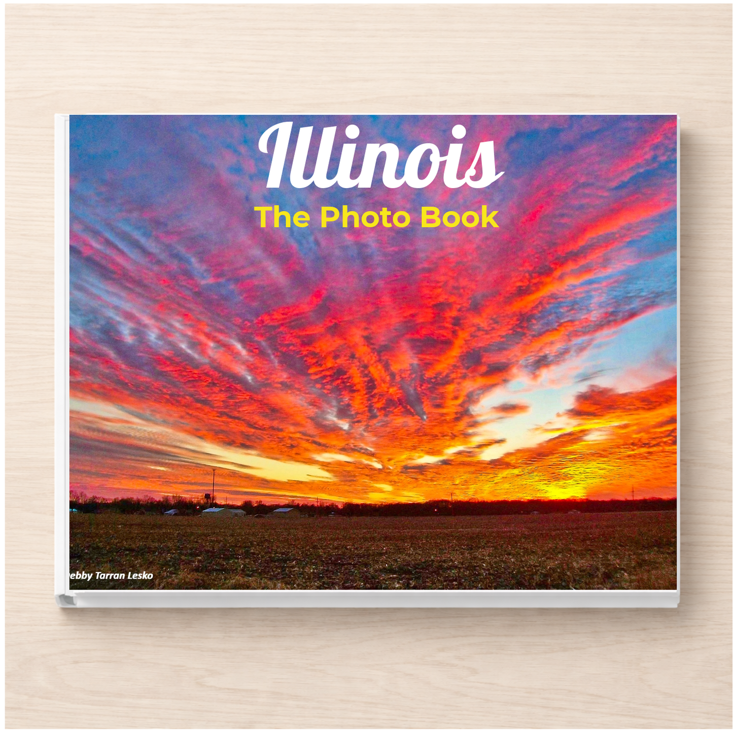 Illinois: The Photo Book