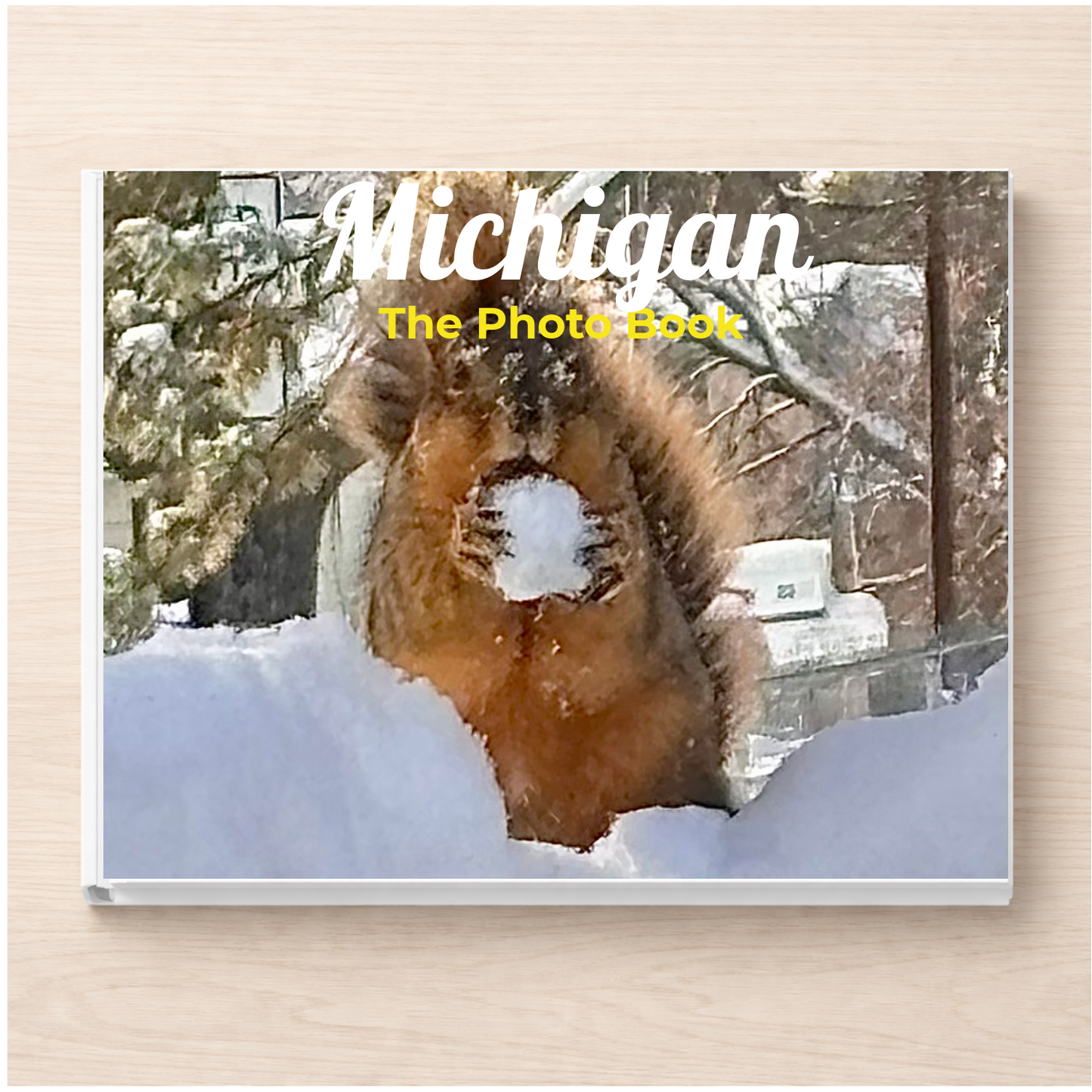 Michigan: The Photo Book