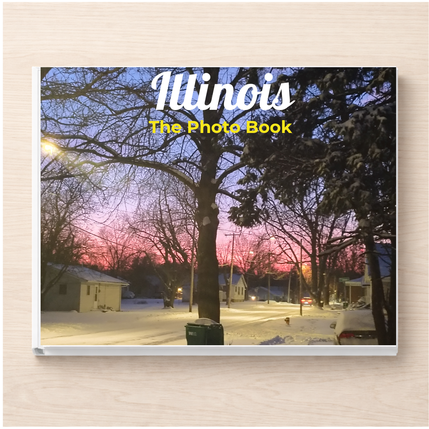 Illinois: The Photo Book