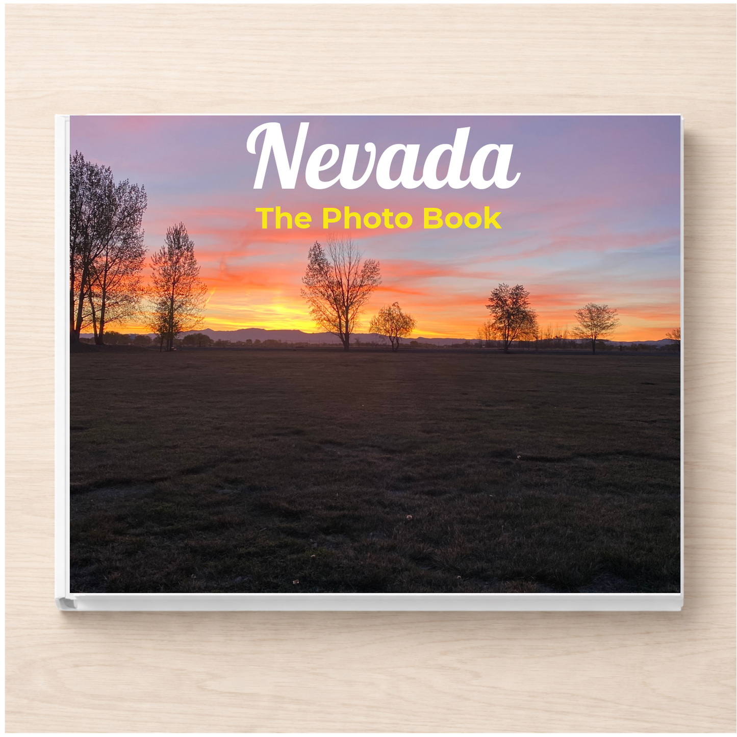 Nevada: The Photo Book