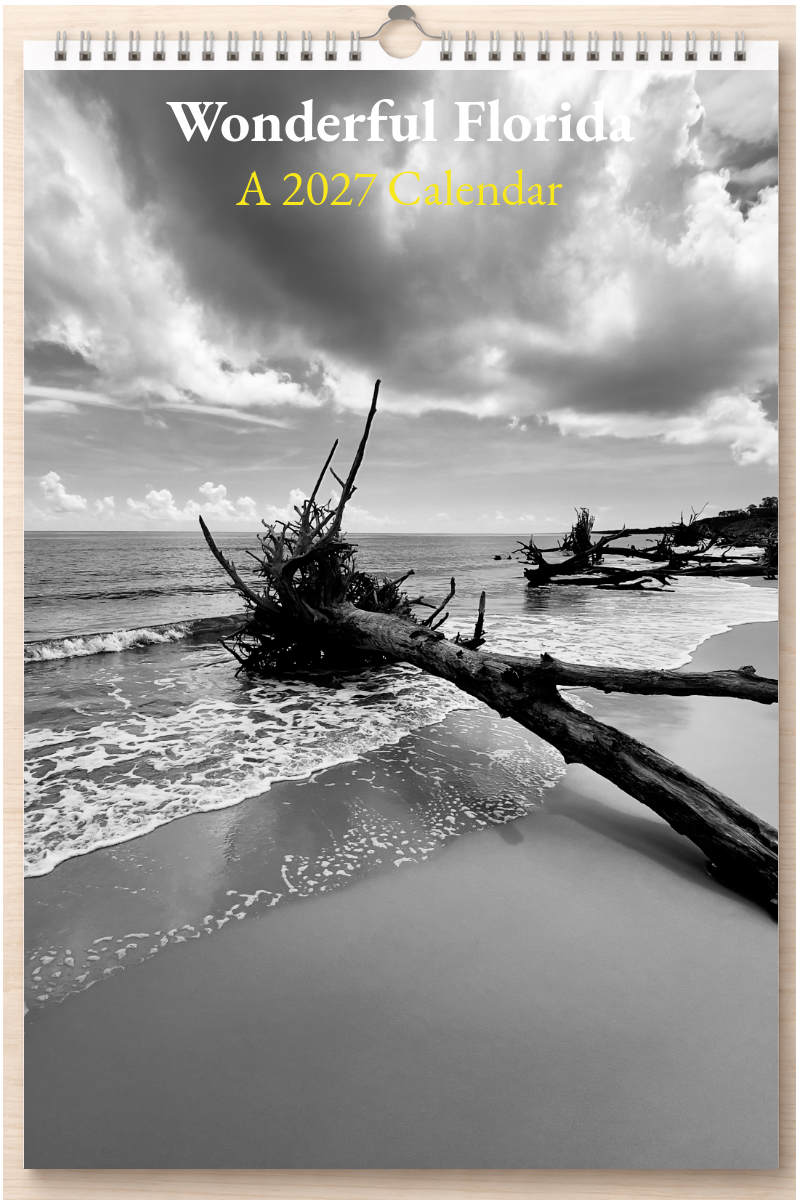 Wonderful Florida: A 2027 Calendar