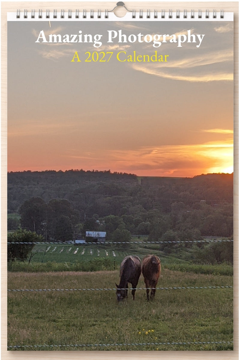 Amazing Photography: A 2027 Calendar