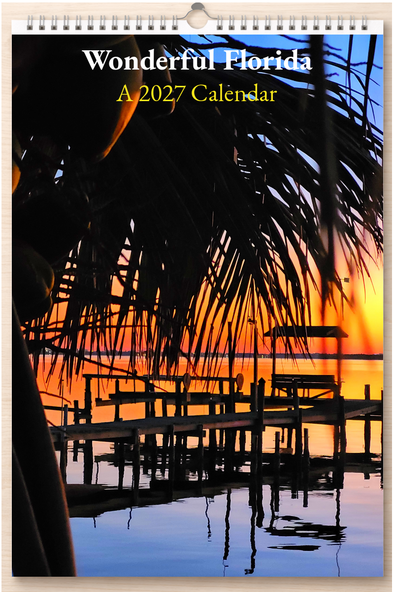 Wonderful Florida: A 2027 Calendar