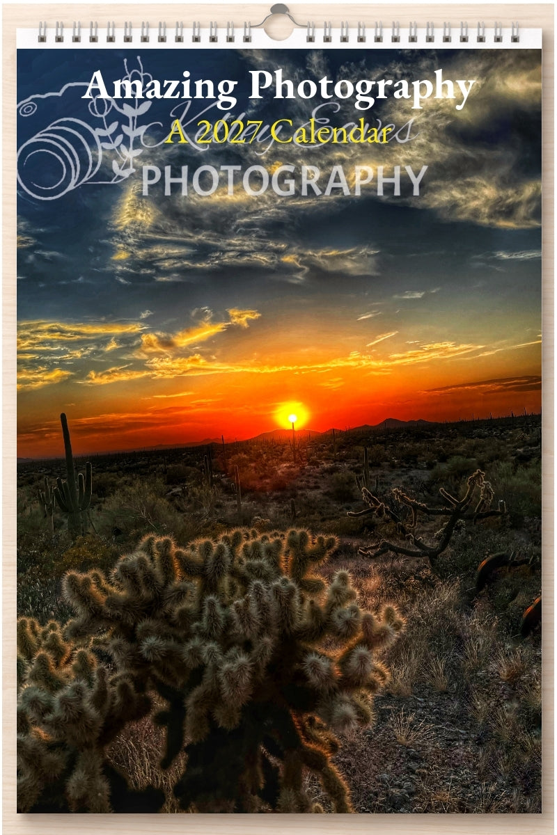 Amazing Photography: A 2027 Calendar