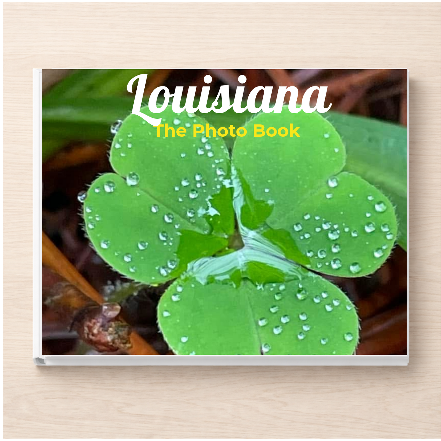Louisiana: The Photo Book