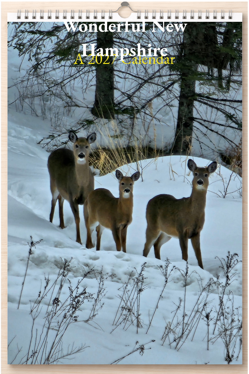 Wonderful New Hampshire: A 2027 Calendar