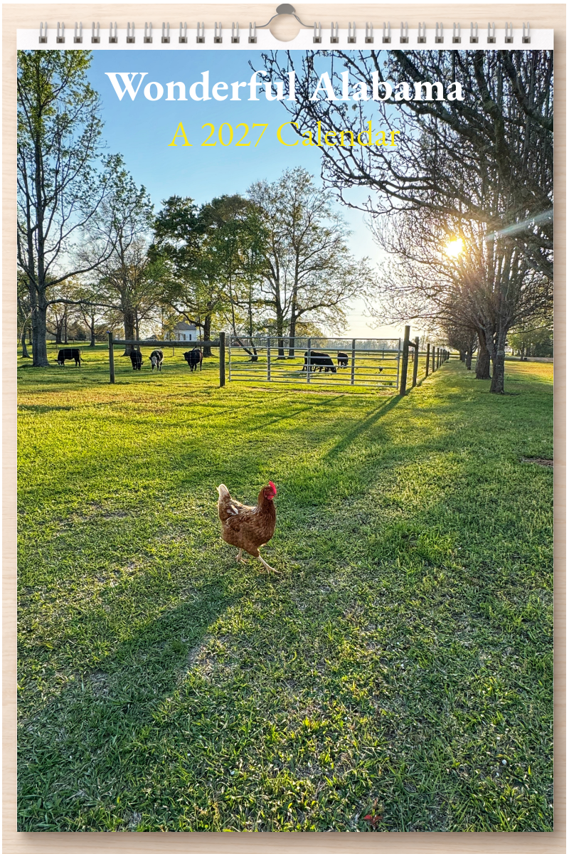 Wonderful Alabama: A 2027 Calendar