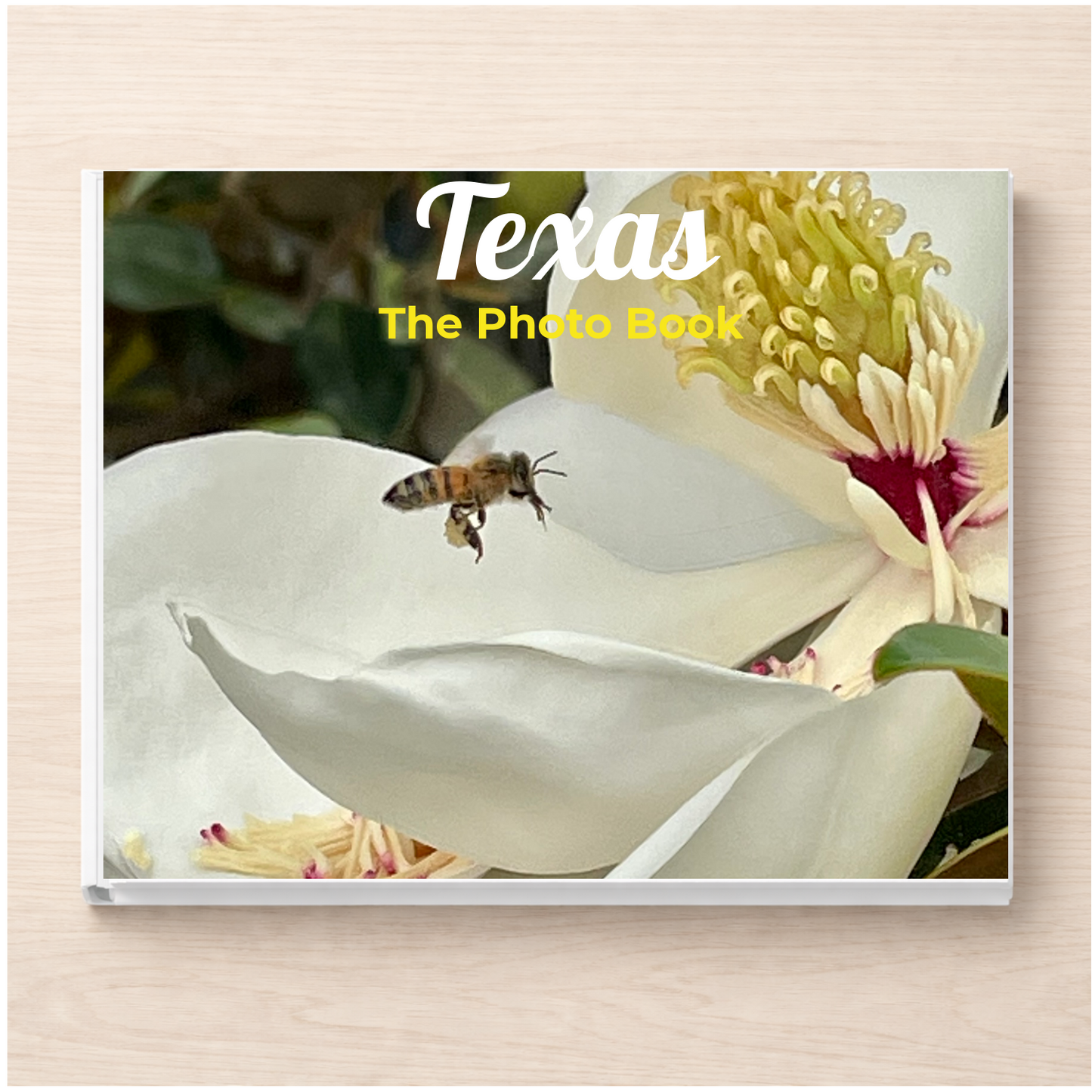 Texas: The Photo Book