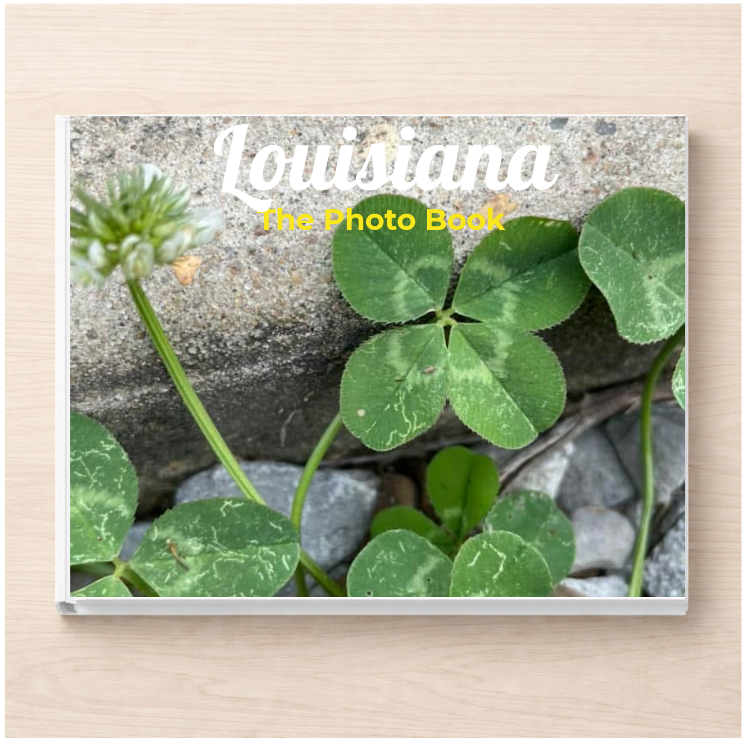 Louisiana: The Photo Book