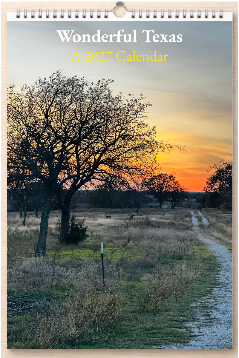 Wonderful Texas: A 2027 Calendar