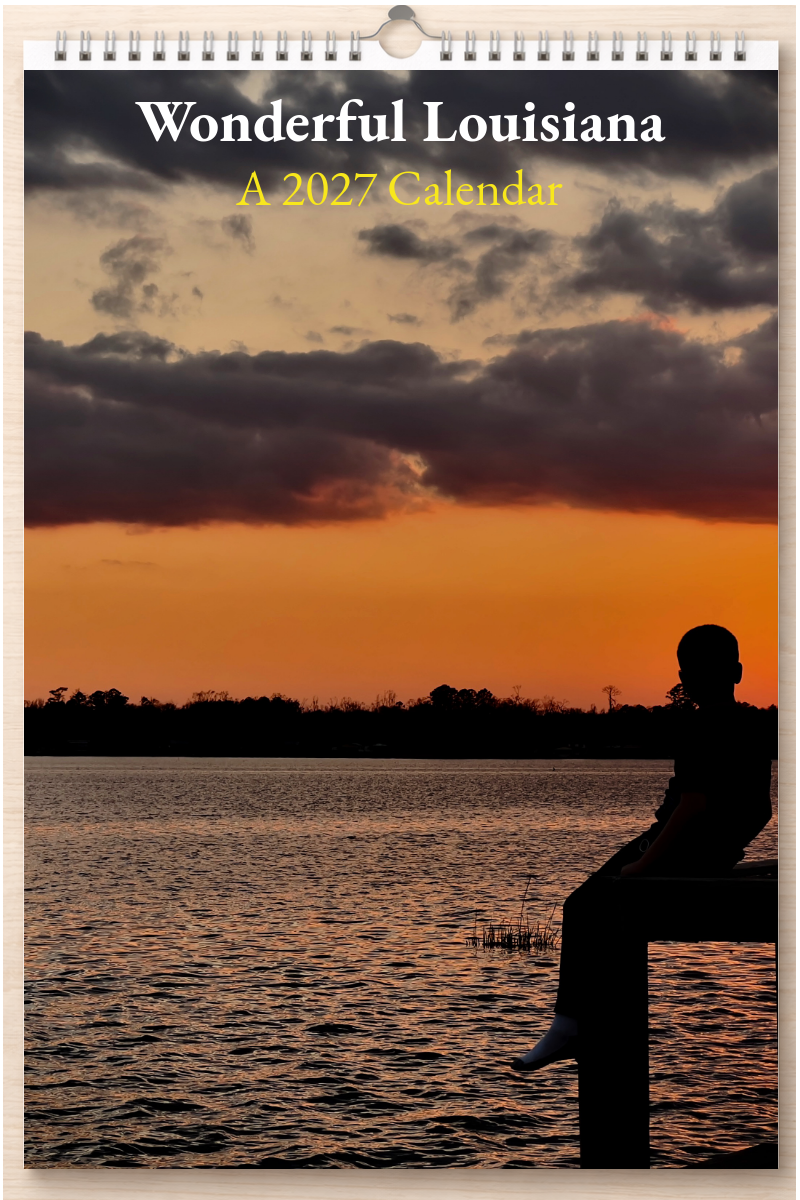 Wonderful Louisiana: A 2027 Calendar