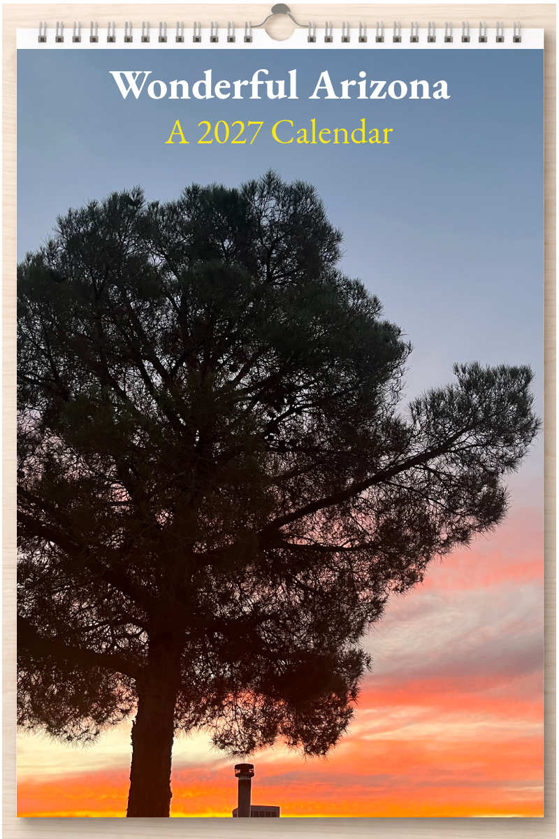 Wonderful Arizona: A 2027 Calendar