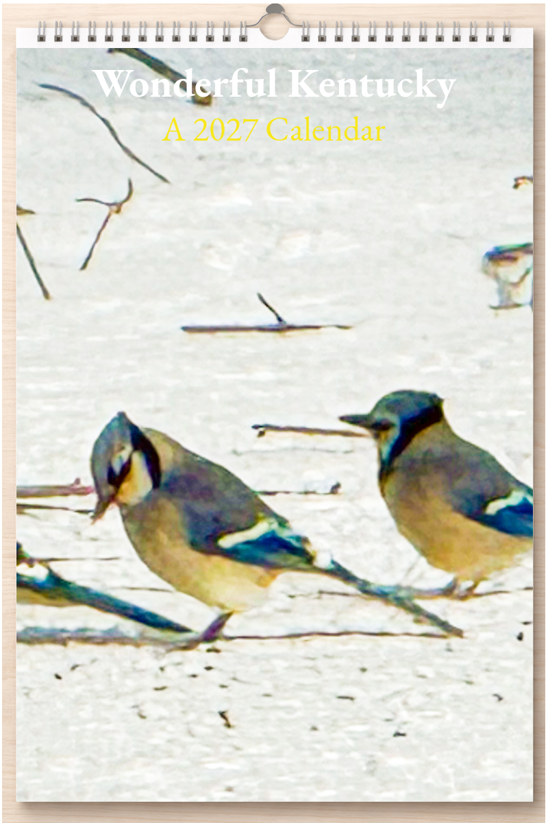 Wonderful Kentucky: A 2027 Calendar